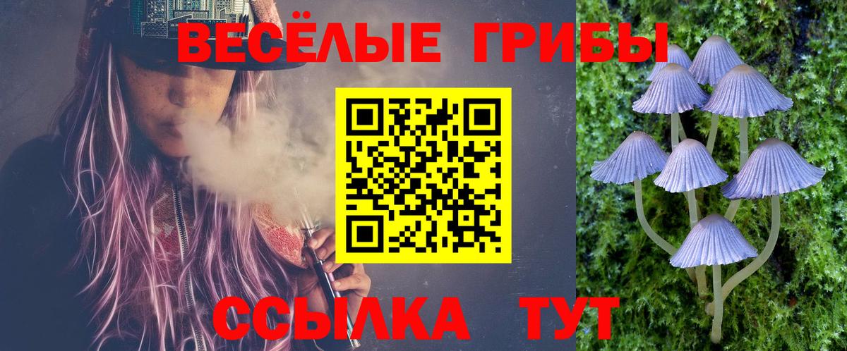 Галлюциногенные грибы Psilocybe  Вход с VPN  Галлюциногенные грибы Cubensis  Елабуга 